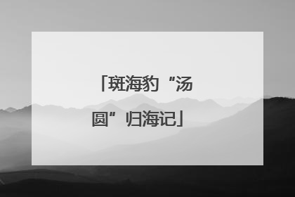 斑海豹“汤圆”归海记