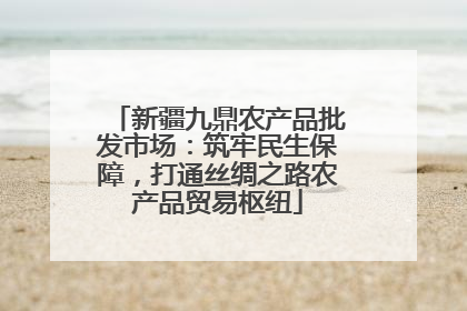 新疆九鼎农产品批发市场：筑牢民生保障，打通丝绸之路农产品贸易枢纽