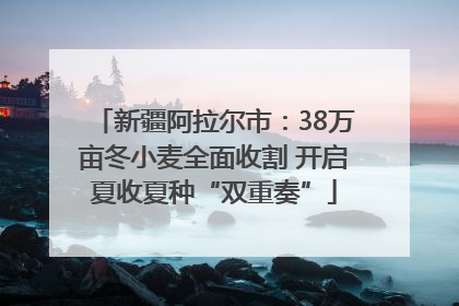 新疆阿拉尔市：38万亩冬小麦全面收割 开启夏收夏种“双重奏”