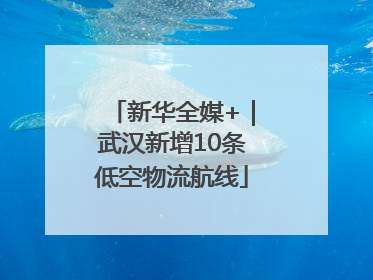 新华全媒+｜武汉新增10条低空物流航线