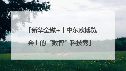 新华全媒+丨中东欧博览会上的“数智”科技秀