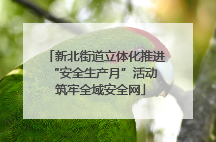 新北街道立体化推进“安全生产月”活动 筑牢全域安全网