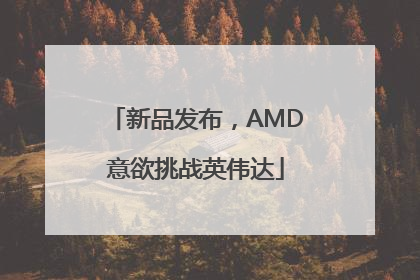 新品发布，AMD意欲挑战英伟达