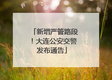 新增严管路段！大连公安交警发布通告