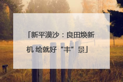新平漠沙：良田焕新机 绘就好“丰”景