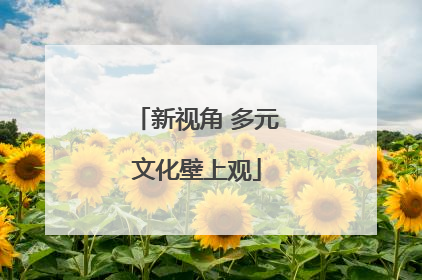 新视角 多元文化壁上观