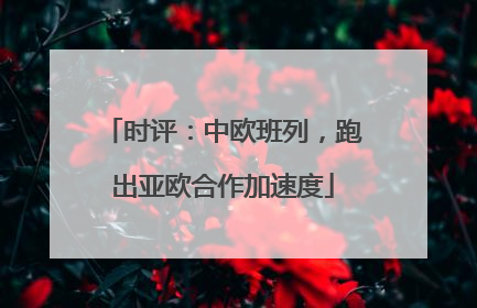 时评：中欧班列，跑出亚欧合作加速度