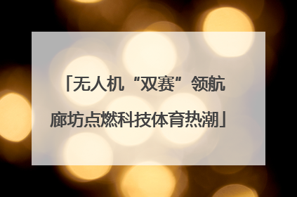 无人机“双赛”领航 廊坊点燃科技体育热潮
