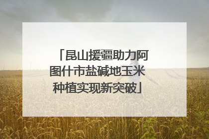 昆山援疆助力阿图什市盐碱地玉米种植实现新突破