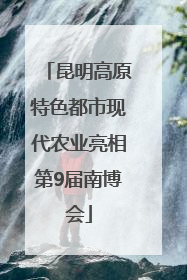 昆明高原特色都市现代农业亮相第9届南博会