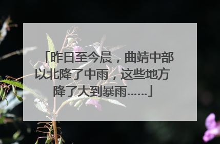 昨日至今晨，曲靖中部以北降了中雨，这些地方降了大到暴雨……