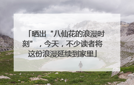 晒出“八仙花的浪漫时刻”，今天，不少读者将这份浪漫延续到家里