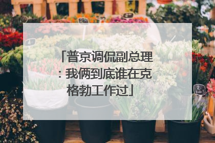 普京调侃副总理：我俩到底谁在克格勃工作过