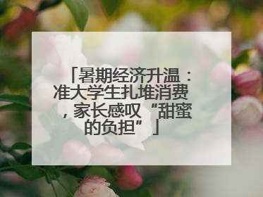 暑期经济升温：准大学生扎堆消费，家长感叹“甜蜜的负担”
