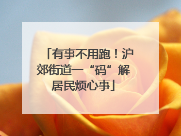 有事不用跑！沪郊街道一“码”解居民烦心事