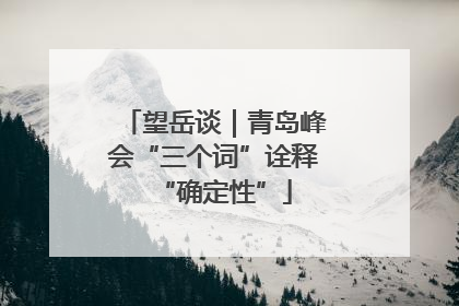 望岳谈｜青岛峰会“三个词”诠释“确定性”