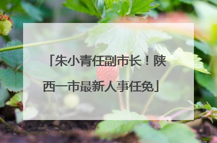 朱小青任副市长！陕西一市最新人事任免