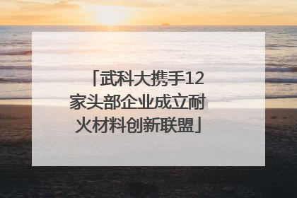 武科大携手12家头部企业成立耐火材料创新联盟