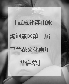 武威祁连山冰沟河景区第二届马兰花文化嘉年华启幕