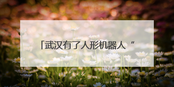 武汉有了人形机器人“学校”，“人形机器人进家庭，这是第一步”