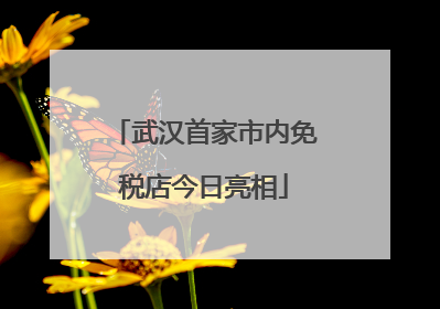 武汉首家市内免税店今日亮相