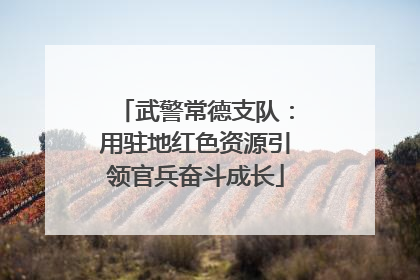 武警常德支队：用驻地红色资源引领官兵奋斗成长