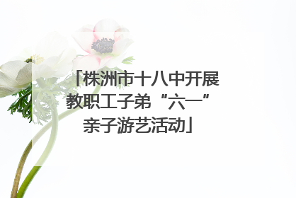 株洲市十八中开展教职工子弟“六一”亲子游艺活动