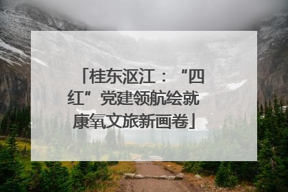 桂东沤江：“四红”党建领航绘就康氧文旅新画卷