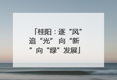 桂阳：逐“风”追“光” 向“新”向“绿”发展