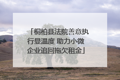 桐柏县法院善意执行显温度 助力小微企业追回拖欠租金