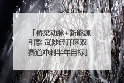 桥梁动脉+新能源引擎 武陟经开区双赛道冲刺半年目标
