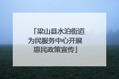 梁山县水泊街道为民服务中心开展惠民政策宣传
