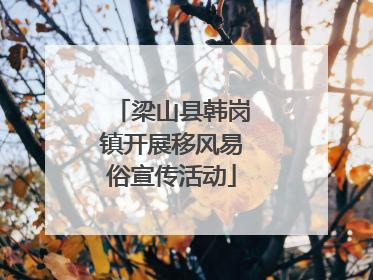 梁山县韩岗镇开展移风易俗宣传活动