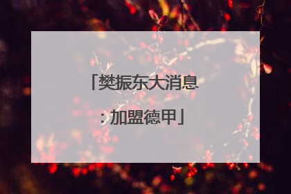 樊振东大消息：加盟德甲