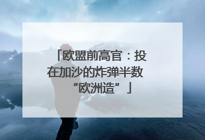 欧盟前高官：投在加沙的炸弹半数“欧洲造”