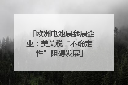 欧洲电池展参展企业：美关税“不确定性”阻碍发展