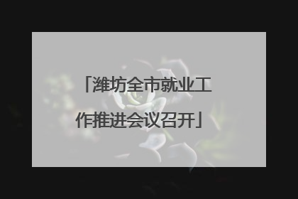 潍坊全市就业工作推进会议召开
