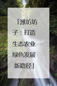 潍坊坊子：打造生态农业绿色发展新路径