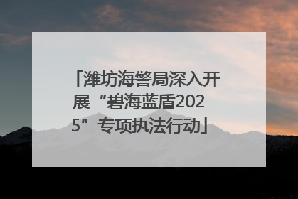 潍坊海警局深入开展“碧海蓝盾2025”专项执法行动