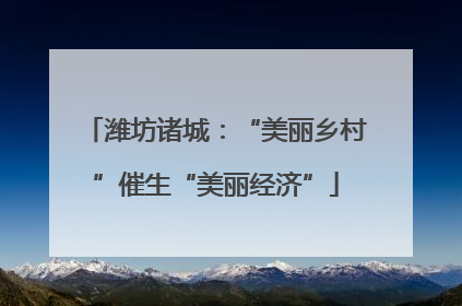 潍坊诸城：“美丽乡村”催生“美丽经济”