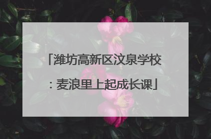 潍坊高新区汶泉学校：麦浪里上起成长课