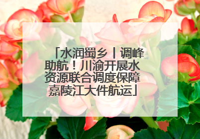 水润蜀乡丨调峰助航！川渝开展水资源联合调度保障嘉陵江大件航运