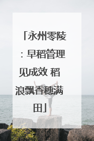 永州零陵：早稻管理见成效 稻浪飘香穗满田
