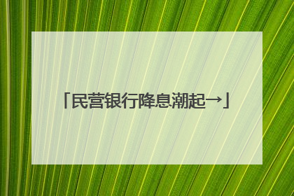 民营银行降息潮起→