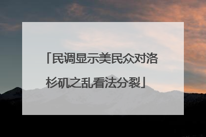 民调显示美民众对洛杉矶之乱看法分裂