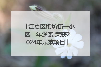 江夏区纸坊街一小区一年逆袭 荣获2024年示范项目