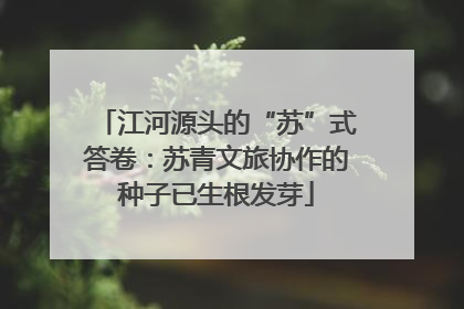 江河源头的“苏”式答卷：苏青文旅协作的种子已生根发芽