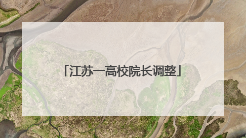 江苏一高校院长调整