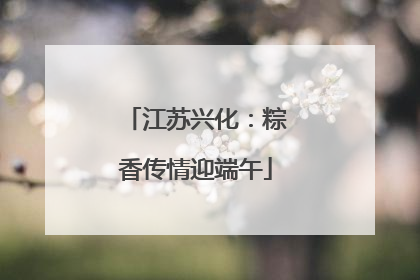 江苏兴化：粽香传情迎端午