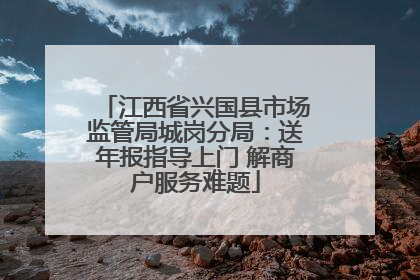 江西省兴国县市场监管局城岗分局：送年报指导上门 解商户服务难题